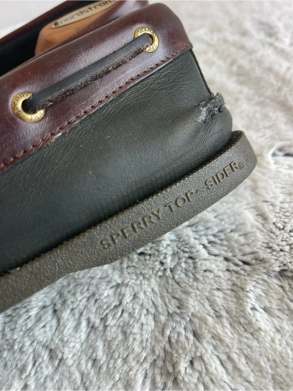Sperry this beauty’s